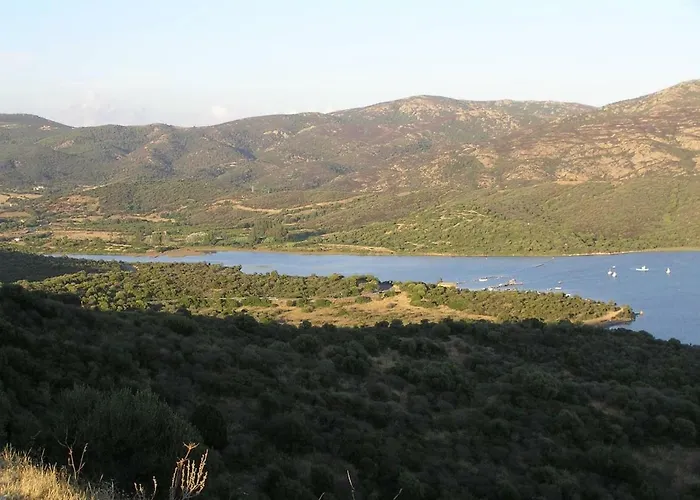 Vakantiehuis Bamboo House *