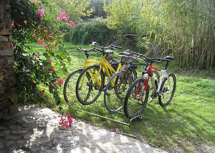 Vakantiehuis Bamboo House *