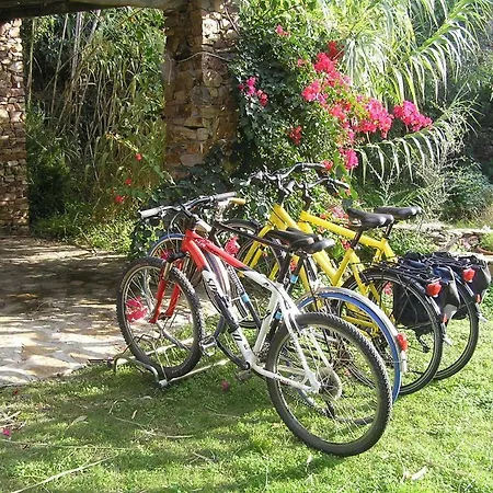 Tatil Evi Bamboo House Teulada