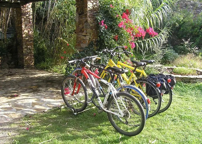 Tatil Evi Bamboo House Teulada